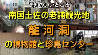 龍河洞の博物館と珍鳥センター、南国土佐の老舗観光地