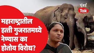 Gadchiroli Elphant : गडचिरोली मधील १३ हत्ती गुजरातला घेऊन जाण्य़ाला स्थानिक का करतायत विरोध?