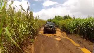 Deep mud in Maui