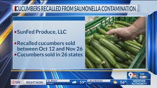 Dozens of cucumbers recalled after salmonella contamination