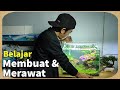 belajar membuat aquascape untuk pemula