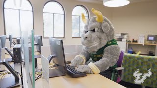 How to Apply to Live at USF Sarasota-Manatee