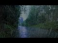 💯The most suitable real forest rain sound for falling asleep, anxiety, insomnia, white noise