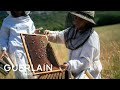 #WomenForBees: a celebration of female empowerment | GUERLAIN​