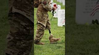 God Bless our Fallen Heroes on Memorial Day