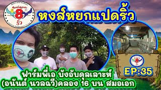 หงส์หยกแปดริ้ว EP.35 เอ บังอับดุลเลาะห์ คลอง 16 สมอเอก บน อ.บางน้ำเปรี้ยว จ.ฉะเชิงเทรา