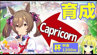 【ウマ娘】カプリコーン杯育成！スマートファルコン！！【Vtuber】01/14