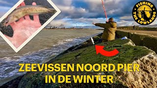 Zeevissen Noordpier IJmuiden in de winter. FishVlog #114.