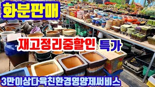 화분판매 제고정리중할인특가 010 4499 2456 5만이상무료배송 3만이상다육친환경영양제써비스 주문은 문자로주세요