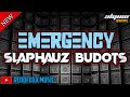 EMERGENCY | SLAPHOUSE BUDOTS | DJ ALQUIN REMIX