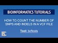 ShortClips | Count the number of snps and indels in a vcf file using bcftools