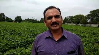 AgriRain Hosereel - Amdapur Farmer Testimonial