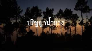 ปริญญาน้ำยาง