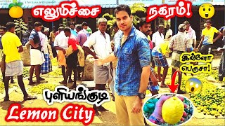 Lemon City Puliyangudi | Biggest Lemon Market Puliangudi Lemon City Tenkasi Tourist Places in Tamil