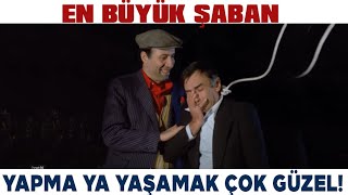 En Büyük Şaban Türk Filmi | Şaban, Faik'in Hayatını Kurtarıyor! Kemal Sunal Filmleri