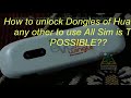 unlocking a evo wingle or any other network device for all network sims is possible watch