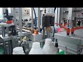 Automatic Daily Chemical Liquid Filling Machine Detergent Bottling Machine