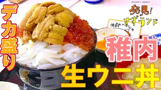 北海道・稚内で発見！贅沢デカ盛り海鮮丼「樺太食堂」【北海道グルメ】