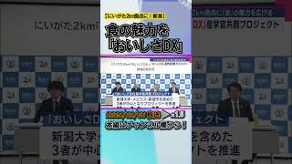 にいがた2km拠点に“食”の魅力を広げる「おいしさDX」産学官共創プロジェクト開始へ #news #short  #ux新潟テレビ21 #新潟