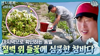 너 진짜 이쁘다아♥ 절벽 위 작은 들꽃에 심쿵한 참바다! 마지막 통발 확인 결과는?! | 삼시세끼 어촌편 5 3 Meals a Day - fishing trip 5 EP.10