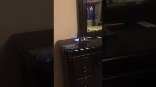 Alexa - Turn On The Bedroom Lights