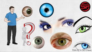 आँखों से जुड़े 1 TO 25 असामान्य रोचक तथ्य। Eye facts in Hindi | SD STUDY POINT |