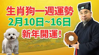 過年後開運！生肖狗一週運勢（2月10日～16日），有吉凶日提醒，屬狗人必看！ #2025年生肖狗運勢 #2025年生肖狗運程 #2025年屬狗運勢 #2025年屬狗運程