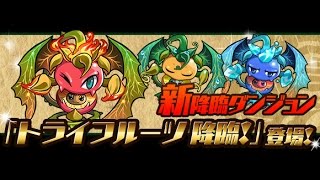 パズドラ【木曜ダンジョン】夢見洞 超地獄級 2分30クリア 孫悟空 16倍PT ノーコン