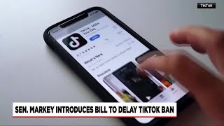 Senator Ed Markey proposes TikTok ban delay