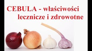 CEBULA - właściwości