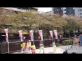 2015年４月１３日中目黒桜まつり