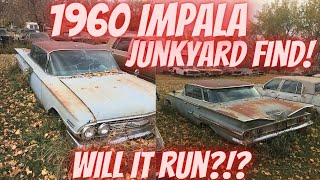 Sitting in a junkyard for 40 years! 1960 Chevy Impala Will it run?!? Last registered in 1980!