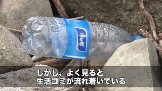 【兵庫県】海ゴミだらけだったウミガメのお腹｜ソーシャルイノベーションニュース