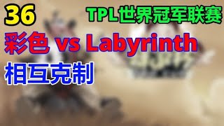 36【TED出品】TPL败者组 彩色 vs Labyrinth 相互克制