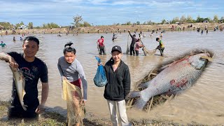 ผ่าปลาหนองรวมของหมู่บ้าน บ้านห้วยอยู่ฝั่งลาว🇱🇦