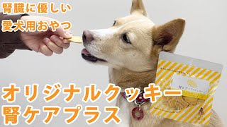 【ハウンドカム食堂】愛犬用おやつ オリジナルクッキー腎ケアプラス【帝塚山ハウンドカム】