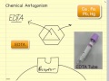 pharmacodynamics