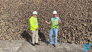 2021 Sugar Beet Harvest Update!