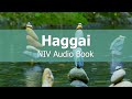 HAGGAI  Audio Bible - NIV Dramatized Audio Book with video