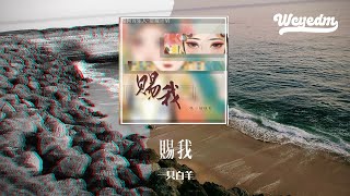 一只白羊 - 赐我 (DJ阿卓加速版)「那些遗憾不甘明明想掩埋 偶尔前缘旧梦偏偏又作怪」【動態歌詞/pīn yīn gē cí】#一只白羊 #赐我 #動態歌詞