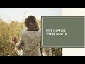 Five Islands - These Roots