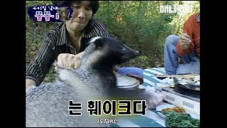 사람에게 잡아먹힐 뻔한 오소리를 살려줬더니 생긴 일 ㅣGenius Badger Wees On The Toilet