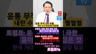 [윤통] 무적 필살 ON 내란 수괴