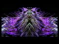 Black Devil Disco Club - Dali