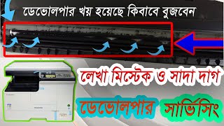 ডেভোলপার কালি পরিরর্তন Toshiba e-studio-2303A/2523A unit service full developer for change Developer