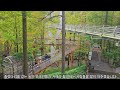 대전 장태산 자연휴양림 11월 1일 daejeon jangtaesan natural recreation forest