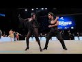 guillem pascual rosa carne esp 2018 2018 wdsf world latin ostrava r2 j