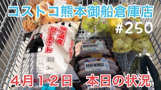 2022年4月12日　コストコ熊本御船倉庫店　本日の状況　 その250