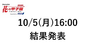 【結果発表】Ikenobo 花の甲子園2021　リモート地区大会