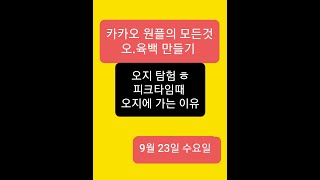 카카오대리운전 오.육백 만들기/오지 탐험 피크타임 오지가는 이유?그러나  리스크 있슈